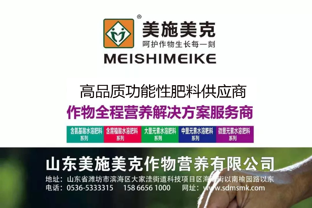 关于美施美克